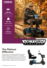 Pride Victory Platinum 4 Flyer